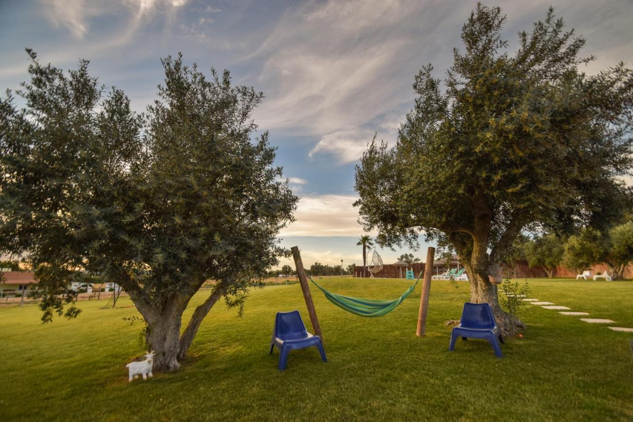 Holiday home Monte Dos Rolas *