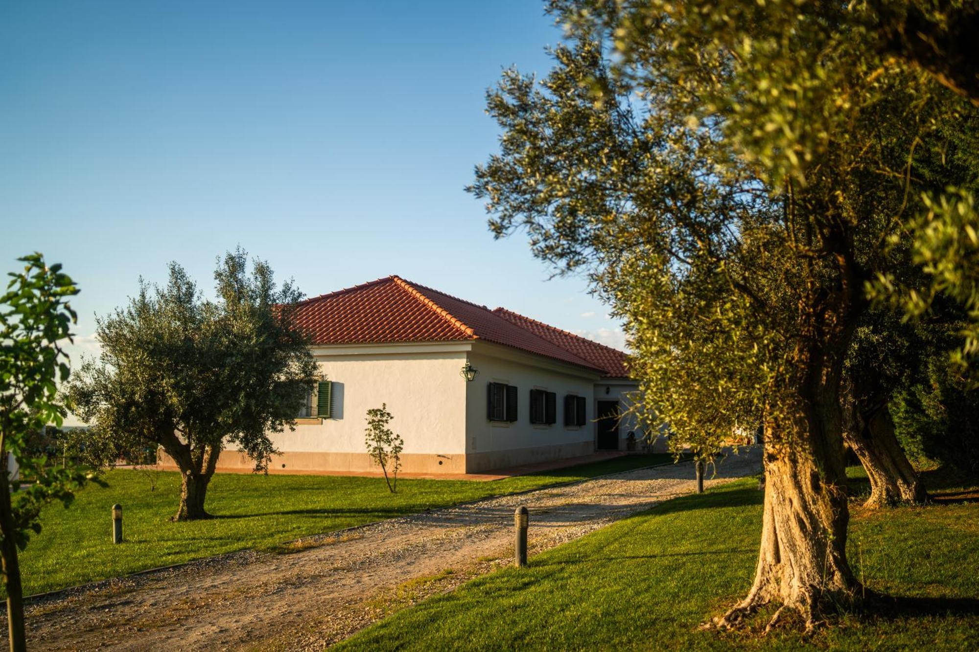 Monte Dos Rolas